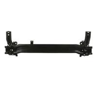 BLIC 5502-00-9517940P Soporte, parachoques
