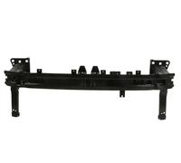 BLIC 5502-00-9549943P Soporte, parachoques