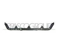 Soporte Del Radiador Prasco FT1333206 para Fiat