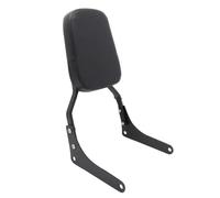 Soporte Equipaje Trasero Respaldo para Pasajero De Motocicleta Sissy Bar para Rebel 250 para CA250 para CMX250 para CMX250C