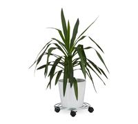Soporte macetas ruedas 30 kg plateado soporte macetas con ruedas base con ruedas
