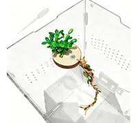 Soporte magnético para decoración de araña, realista, para reptiles | El recinto de araña se esconde para escalar, jugar, forrajear, criar, anidar, descansar, geckos, anfibios