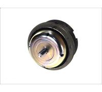 Soporte metálico, suspensión del motor SASIC 8441771 para ZX (N2) 2 1992-1997
