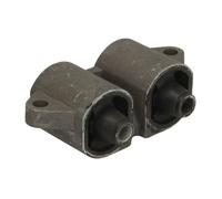 Soporte, motor PARSUN F20-02020200