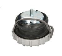 Soporte, motor REINHOCH RH11-3162 para MERCEDES-BENZ VIANO (W639) 3.7 2004-2007