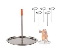 Soporte para brochetas de barbacoa - 1 soporte vertical y 5 pinchos - Práctico para barbacoa al aire libre