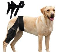 Soporte para la Parte Trasera de la Pierna para Perro, Soporte Ajustable para la Parte Trasera de la Pierna, Negro, cómodo Protector de Rodilla para el Cuidado de Lesiones en Las piernas,