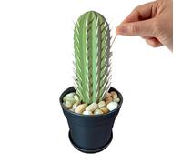 Soporte para palillo de dientes de cactus, soporte para palillos de dientes con cactus impreso en , personas que no pueden mantener las plantas vivas - Diseño suculento, pieza de decoración creativa