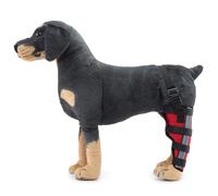 Soporte para Patas de Perro, Soporte para Patas Delanteras y Traseras,Soporte Carpiano para Corvejones de Pata Canina con Estabilizadores Laterales