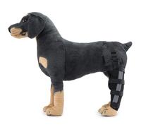 Soporte para Patas de Perro, Soporte para Patas Delanteras y Traseras,Soporte Carpiano para Corvejones de Pata Canina con Estabilizadores Laterales