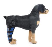 Soporte para Patas de Perro, Soporte para Patas Delanteras y Traseras,Soporte Carpiano para Corvejones de Pata Canina con Estabilizadores Laterales