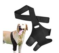 Soporte para piernas de Perro: Soporte para Cadera piernas, Protector de Espalda de 10 Varillas, diseño cómodo Transpirable Perros pequeños Mayores con discapacidad, Mejora la es