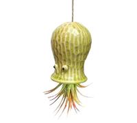 Soporte para plantas de aire único - Maceta de pared de resina para plantas de aire | Soporte decorativo para plantas suculentas Tillandsia para interiores y exteriores, jardín, decoración de pared