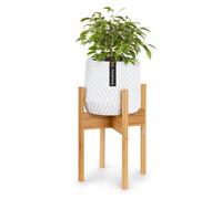 Soporte para plantas moderno de mediados de siglo de Fox & Fern Soporte para plantas para interiores para interiores