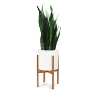 Soporte para plantas moderno de mediados de siglo Fox & Fern Soporte para plantas de esquina para