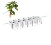Soporte para plantas para acuarios, 6 unidades, soporte transparente, absorción de nutrientes, soporte para plantas de acuario, hidroponía, decoración de agua