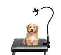 Soporte para secador de pelo 360 grados giratorio manos libres Soporte para secador de pelo Aleación de aluminio Gooseneck Pet Dog Cat Grooming Table Secador de cabello Clip Holder con abrazadera