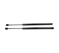 Soporte Puntal De Gas Amortiguadores De Gas Para Portón Trasero Y Maletero De Para Civic 11.º FL1 FL2 FL4 FL5 Type R 2021-2025(Black carbon fiber)