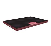 Soporte Refrigerante para portátil de 15.6" (Rojo) APPROX