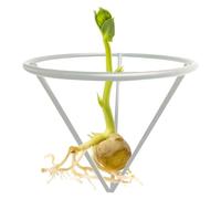 Soporte triangular para cultivo de aguacate, soporte triangular para raíces de aguacate, soporte de metal triangular para amigos, familiares y otros entusiastas de la jardinería