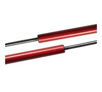 Soportes De Elevación Ventana Trasera Para Ford Para Fiesta ST Para Mk7 Para Mk8 2017-2021 Amortiguadores De Maletero Y Portón Trasero Resortes Soporte Elevación Gas(Red carbon fiber)