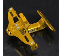 Soportes de matrículas para Moto Motocicleta para F 900R para F900 R para F900R 2019 2018 2017 2016 2020 2021-2023 Soporte para Placa De Matrícula Trasera Luces De Señal De Giro(Yellow)