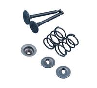 Soportes y sellos universales de admisión y resorte de válvula, 1 kit de resorte de válvula para motores GX35