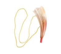 SOPOTUTU Cuerno de Vítores Deportivo de Cuerno Natural con Textura Única, Pequeño Megáfono Portátil para Animar Partidos de Fútbol y Baloncesto, Bocina Manual Artesanal para Eventos