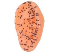 SOPOTUTU Herramienta de Puntos Auriculares para Acupuntura, Instrumento de Enseñanza de Reflexología, Accesorio para Práctica de Masaje y Medicina Tradicional China