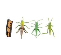 SOPOTUTU Modelos Educativos De Ciclo De Crecimiento De para Niños Mediano, Figura Realista y Ligera, Juego Educativo para Explorar La Naturaleza Ciclo Vital, Set De Modelos Detallados