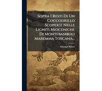 Sopra I Resti Di Un Coccodrillo Scoperti Nelle Ligniti Mioceniche Di Montebamboli Maremma Toscana...