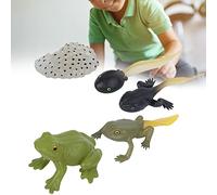 Sorandy Conjunto de Modelos de Ciclo de Crecimiento Animal para Niños con Estatua de Simulación Vívida, Ideal para Aprender