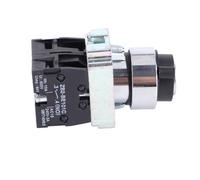 Sorandy Interruptor de Llave de 2 Posiciones Bloqueo de Conversión de Bloqueo de Alimentación de Reinicio Automático para Seguridad del Hogar ZB2-BE101 ZB2-BE102C