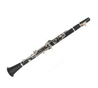 Sorandy Juego de Clarinete de 17 Teclas de para Principiantes con Caja de Lengüetas de Paño de Limpieza, Instrumento Musical con Llave Bb de Madera ABS para Estudiantes (BLACK)