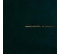 Sorey,Tyshawn Trio (Tyshawn Sorey, Aaron Diehl, Harish Ragahavan) - The Susceptible Now