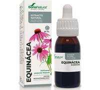 Soria Natural Extracto de Equinácea 100% natural, alta absorción – 50 ml
