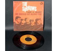 SORROWS - take a heart / we should get along fine 45 rpm single