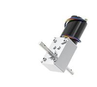 SOSODBBM 5840-3650 Turbo Worm DC Motor 12V24V Doble Rod Salida 70KG.CM Velocidad de avance y retroceso 6RPM-470RPM Motor ajustable sin escobillas 1 pieza (motor de soporte de 160RPM_24V)