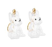 Sosoport 2 Piezas Llavero para Pelo de Perro Transparente Caja Almacenamiento Recuerdo Mascota Contenedor de Pelos Pequeño Colgante Memoria para Dueños de Perros