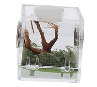 Sosoport Caja De Alimentación Acrílica para Jumping Spider Recinto Transparente y Ventilado para Arañas y Otros Pequeños Diseño Seguro y Práctico
