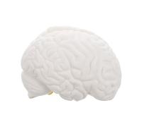 Sosoport Herramienta para Enseñanza de Anatomía y Psicología Color Blanco para Presentaciones Clase y Exploración Personal