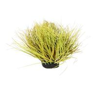 Sosoport Mechón de Césped Estático Verde para Modelismo Ferroviario, Ligero, de Plástico y Espuma, Adecuado para Jardín en Miniatura y Montaña Modelo