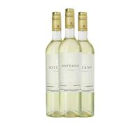 Sottano Torrontés Mendoza 75 cl Vino blanco (Caja de 3 Botellas de 75 cl)