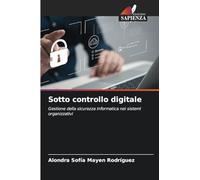 Sotto controllo digitale: Gestione della sicurezza informatica nei sistemi organizzativi