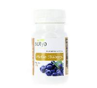 Sotya Arándano Mirtilo 500 mg 100 Comprimidos