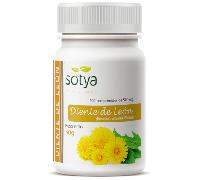 DIENTE LEON 500 MG 100 COMP