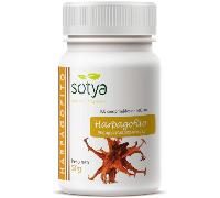 Sotya Harpagofito 500 mg 100 Comprimidos