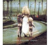 Soul Asylum LogiLink iDTV Mobile - módulo sintonizador DV (CD) (Importación USA)