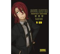 SOUL EATER PERFECT EDITION 10