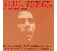 Soul Rebel: Marley Tribute